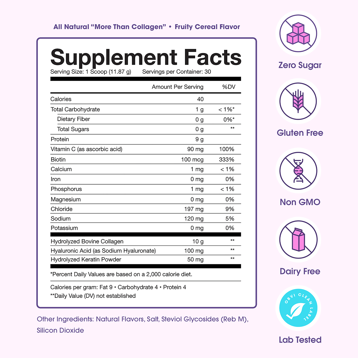 Obvi More Than Collagen | Fruity Cereal