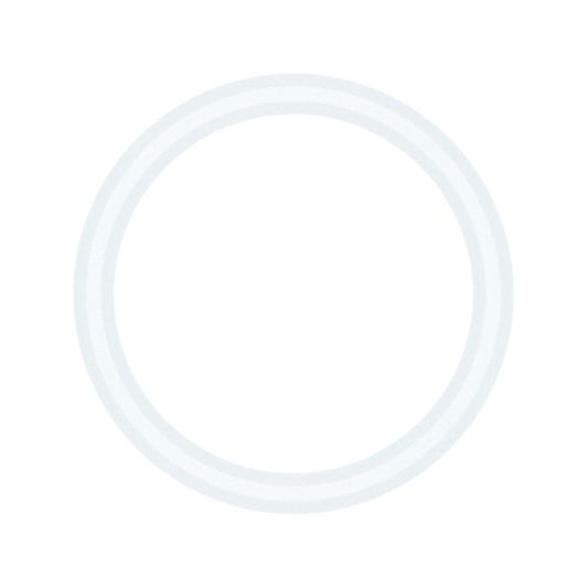 BJ2 Replacement Lid Gasket