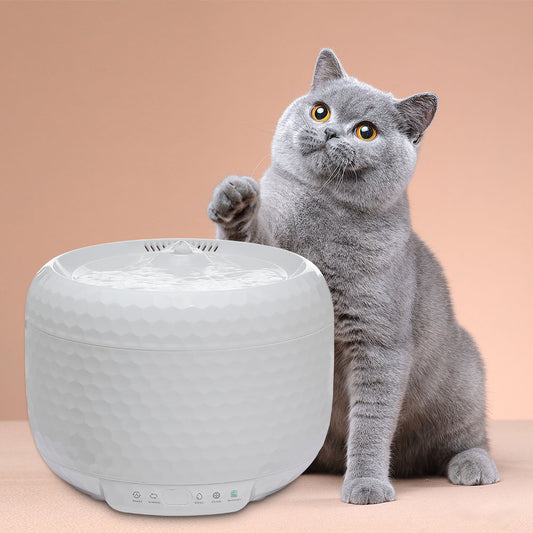 Wholesale 60 OZ Smart Watering Bowl Automatic Drinking Dispenser Electric Cat Water Fountain