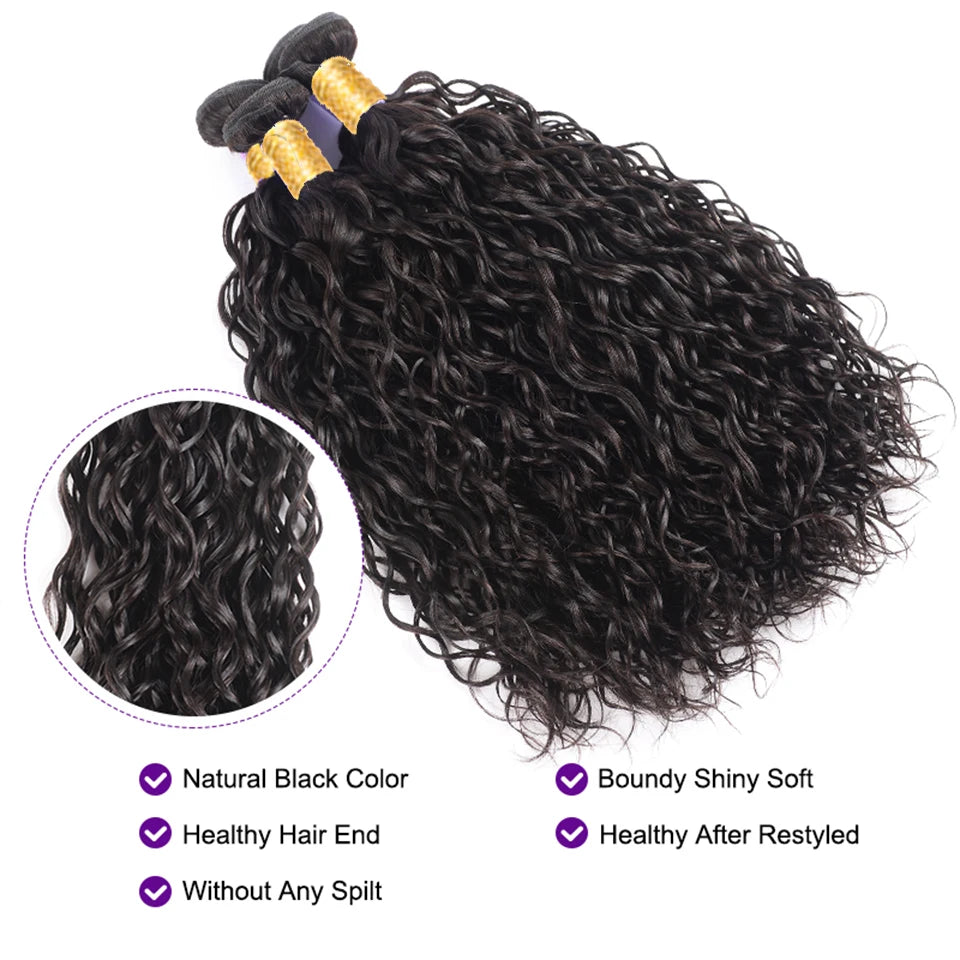 Water Wave Bundle With Closure Wet and Wavy Curly 100% Virgin Raw Jerry Curly Human Hair Bundle With Frontal Hair Extension 18A
