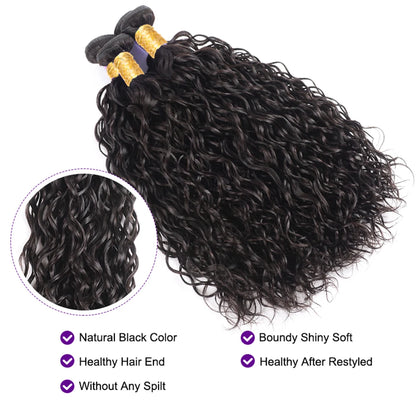 Water Wave Bundle With Closure Wet and Wavy Curly 100% Virgin Raw Jerry Curly Human Hair Bundle With Frontal Hair Extension 18A