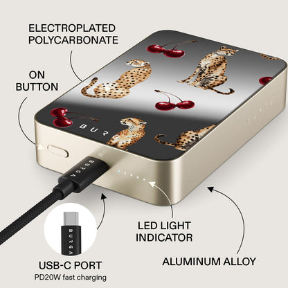 Cougar - Magnetic Power Bank