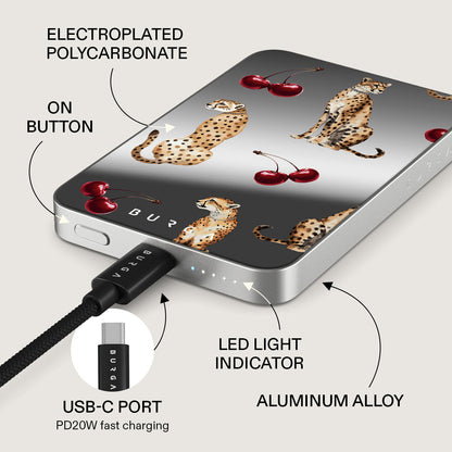 Cougar - Magnetic Power Bank