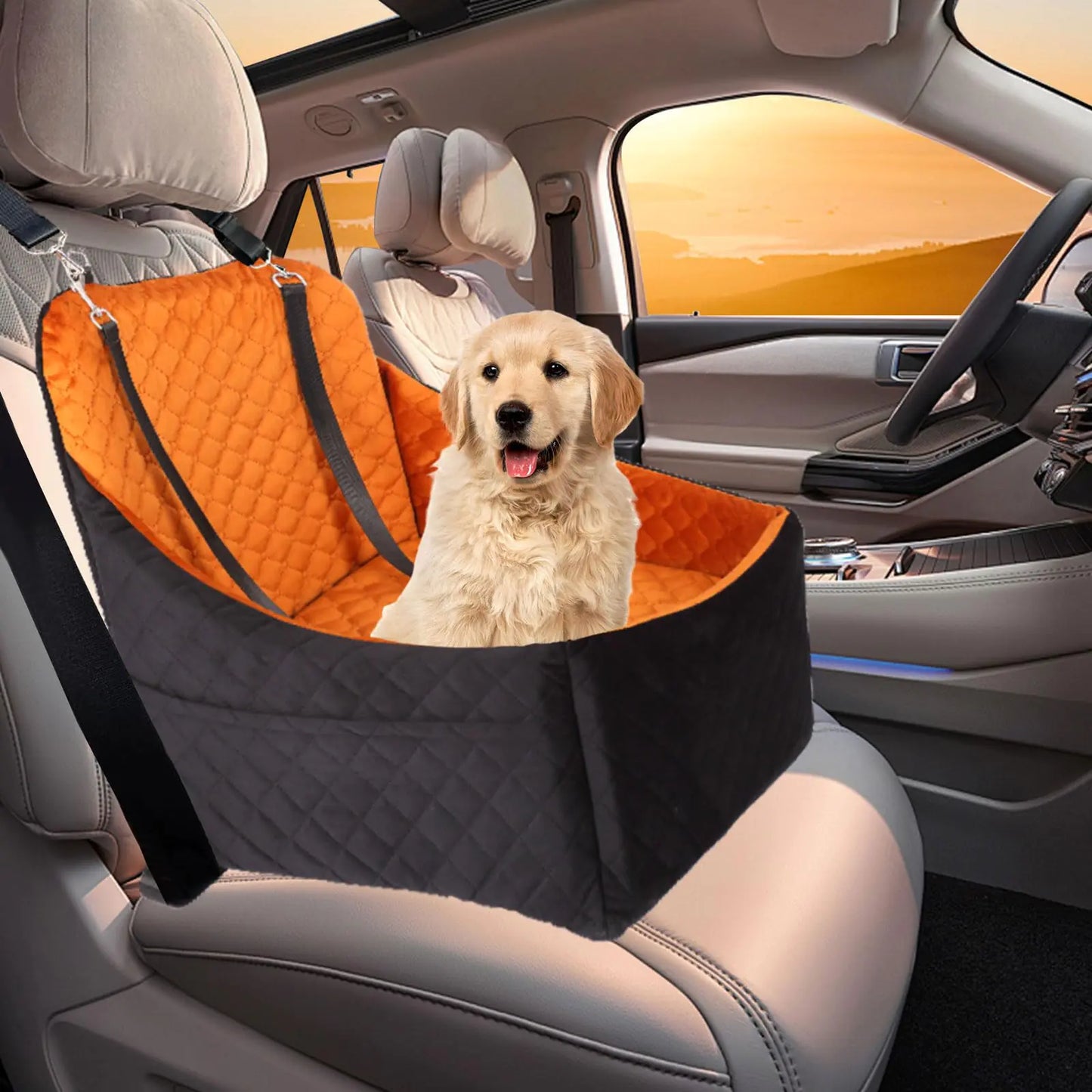 Elevated Small Dog Car Booster Seat